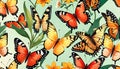 Butterfly wall brilliant colors wallpaper background nature display