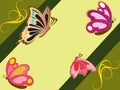 Butterfly Wallpaper