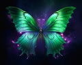 The butterfly\'s magical artifact: stillness in green and purple