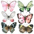 Butterfly watercolor collection isolated on white background , Set of Butterfly Hand drawn painted for Greeting Card ,Wallpaper ,P Royalty Free Stock Photo