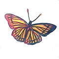 Butterfly watercolor crayons 2