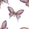 Butterfly watercolor hand-drawn. Illustration with a separate element on a white background. Wildlife insects.