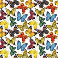 Butterfly watercolor seamless pattern