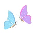 Butterfly on white background for graphic and web design, Modern simple vector sign. Internet concept. Trendy symbol for website