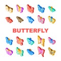 butterfly white nature icons set vector Royalty Free Stock Photo