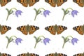 Butterfly and wildflower. Seamless pattern