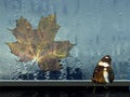 Butterfly on window with drop