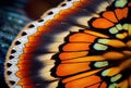 Butterfly Wing Texture Background, Insect Wings Macro Pattern, Butterfly Wing Closeup, Generative AI Illustration