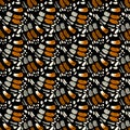 Butterfly wing texture seamless pattern Royalty Free Stock Photo