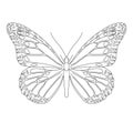 Butterfly with wings, insect, from black contour curves lines on white background. Vector illustration