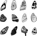 Butterfly wings set. Graphic doodle ink art. Isolated elements.