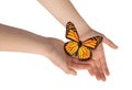 Butterfly and woman's hands. Royalty Free Stock Photo