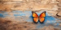 Butterfly on wood background. Butterfly on wooden wall background Royalty Free Stock Photo