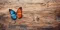 Butterfly on a wooden background. Copy space for text Royalty Free Stock Photo