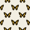 Butterfly groovie pattern Royalty Free Stock Photo
