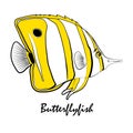 Butterflylfish Saltwater Aquarium Fish illustration