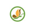 Butterflylogo design vector template Royalty Free Stock Photo