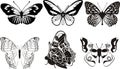 Butterflys Royalty Free Stock Photo