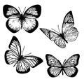 Butterflys set 1