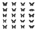 Butterflys silhouettes, Butterflies silhouette set