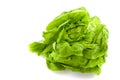 Butterhead lettuce