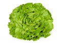 Butterhead lettuce front view over white Royalty Free Stock Photo