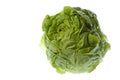 Butterhead Lettuce Isolated