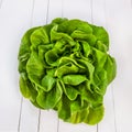 Butterhead salad on white table