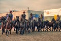 Butteri, the Italian cowboys, verona