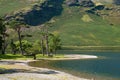 Buttermere Royalty Free Stock Photo