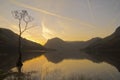 Buttermere lone tree at sunrise