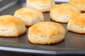Buttermilk Biscuits Royalty Free Stock Photo