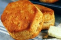 Buttermilk Biscuits