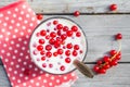 Buttermilk fruit red currant table garden Royalty Free Stock Photo