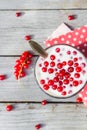 Buttermilk fruit red currant table garden Royalty Free Stock Photo