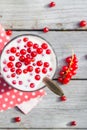 Buttermilk fruit red currant table garden Royalty Free Stock Photo