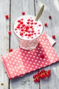 Buttermilk fruit red currant table garden Royalty Free Stock Photo
