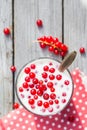 Buttermilk fruit red currant table garden Royalty Free Stock Photo