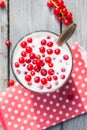 Buttermilk fruit red currant table garden Royalty Free Stock Photo