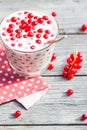 Buttermilk fruit red currant table garden Royalty Free Stock Photo