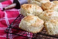 Buttermilk Southern Biscuits on Cooling Rack Royalty Free Stock Photo