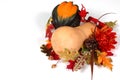 Butternut And Acorn Squash In Autumn Setting