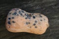 butternut pumpkin gone bad covered in grey and pink mold spots Royalty Free Stock Photo