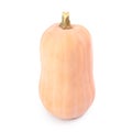 Butternut pumpkin isolated Royalty Free Stock Photo