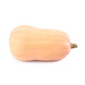 Butternut pumpkin isolated Royalty Free Stock Photo