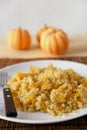 Butternut quinoa pilaf Royalty Free Stock Photo