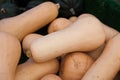 Butternut Squash Royalty Free Stock Photo