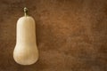 Butternut Squash Background