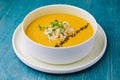 butternut squash chicken breast creamy soup Royalty Free Stock Photo