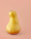 Butternut squash close up isolated on light pink-beige color background.